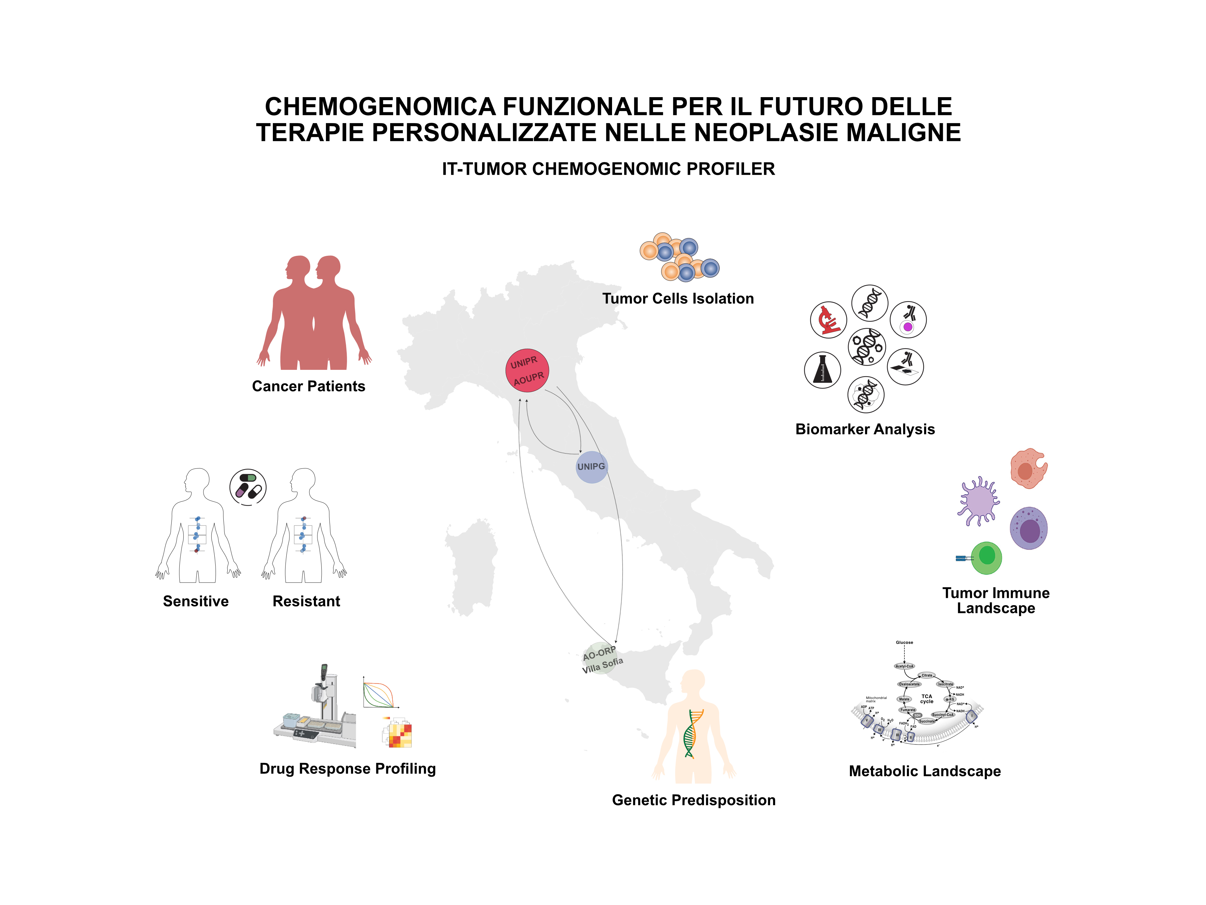 Medicina Personalizzata In Ambito Oncologico Selezionato Dal Ministero 
